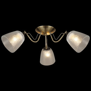 01511-0,3-03 АВ+ВК светильник потолочный Reluce