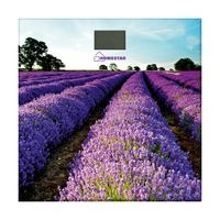 Весы напольные электронные HOMESTAR HS-6001G (ЛАВАНДОВЫЕ ПОЛЯ)