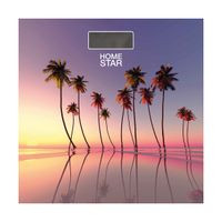 Весы напольные электронные HOMESTAR HS-6001S