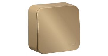 Выключатель 1-кл ОП Blanca 10A IP20 250B SE BLNVA101014 титан