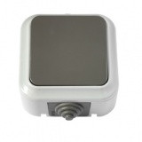 Выключатель 1кл ОП сер Пралеска IP54 АКВА -10А