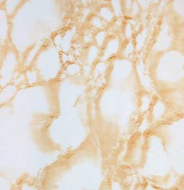 Экран для ванны УНИВЕРСАЛ-Кварт 1,5 мрамор беж.