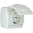 Розетка 1-м. о/п с/з Ната бел. кер. с крышкой Lezard 710-0200-123