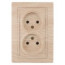Розетка 2-м б/з с/у 16А-250В, Plano. сосна