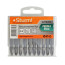 Биты двусторонние (10 шт PH2/SL5 65 мм) Sturm